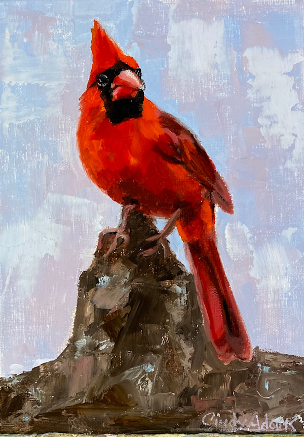 Cardinal by Cindy Adams