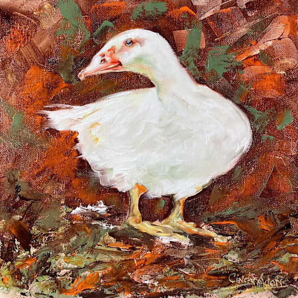 Ducky by Cindy Adams