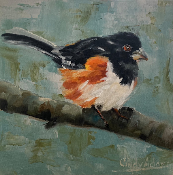 Bird by Cindy Adams, Image 1.
