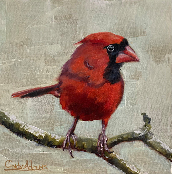 Cardinal by Cindy Adams, Image 1.