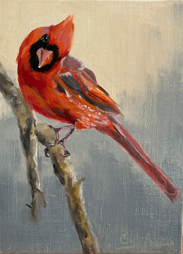 Cardinal by Cindy Adams, Image 1.