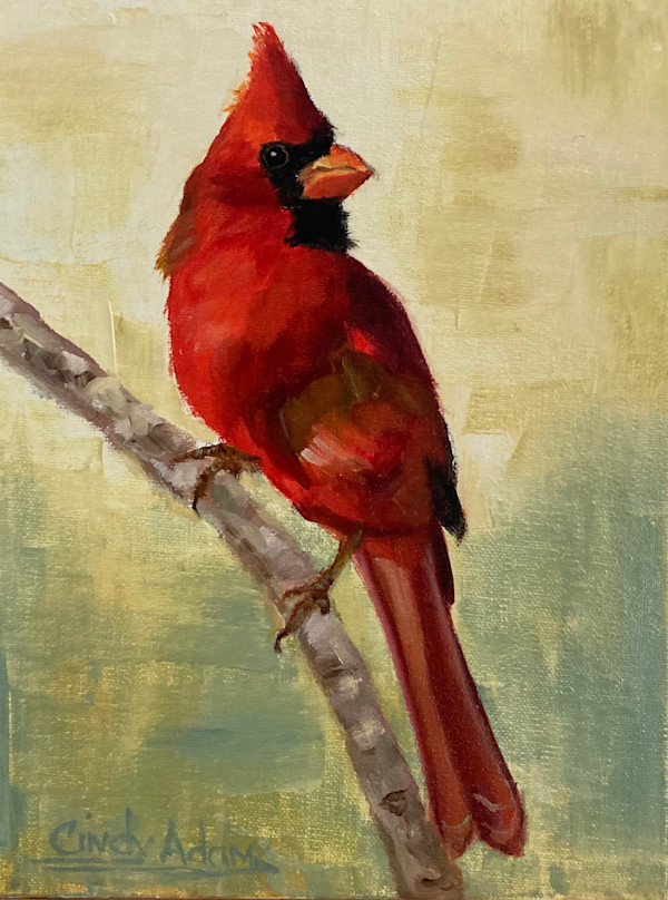 Cardinal by Cindy Adams, Image 1.