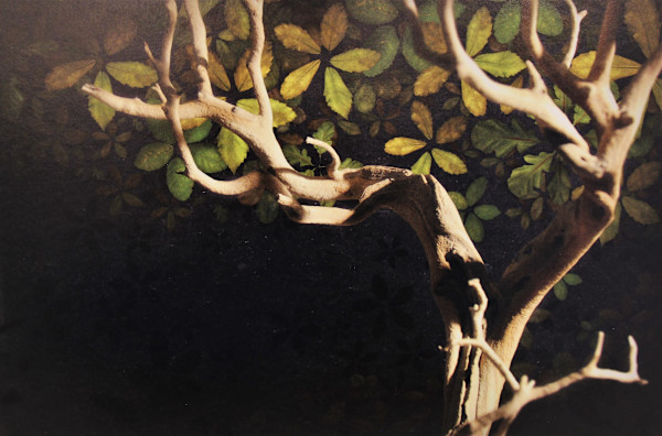 Unknown by Unknown