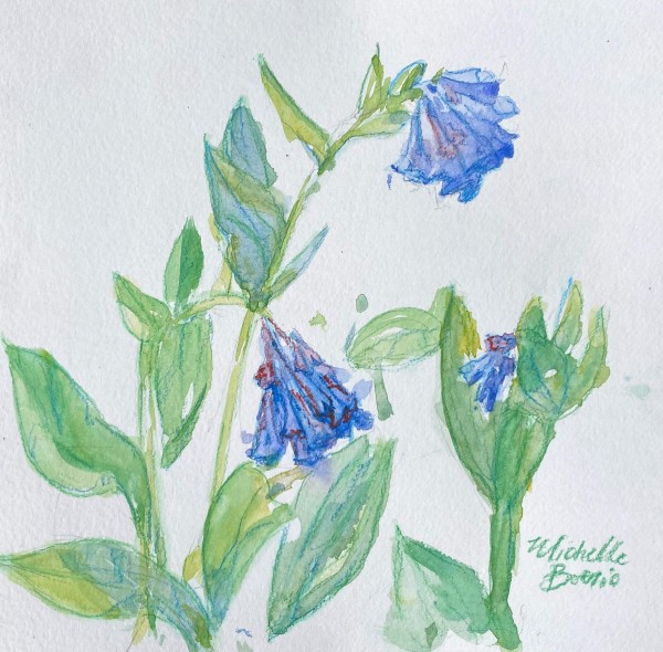 Bluebells by Michelle Boerio