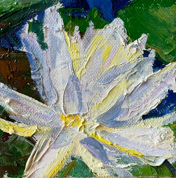 Water Lily by Michelle Boerio