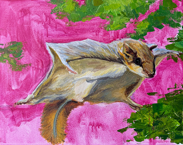 Night Flight by Michelle Boerio, Image 1.