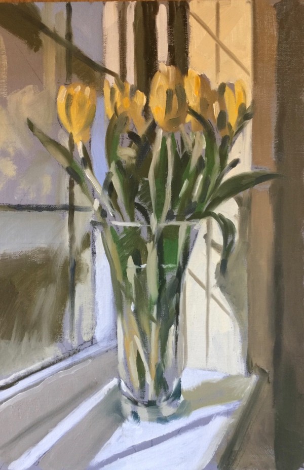 Spring tulips, sunshine by Andrew Hird