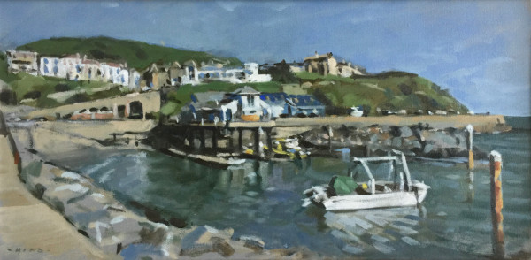 Ventnor Haven, midday sun by Andrew Hird