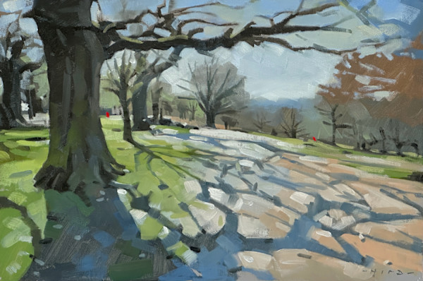 Richmond Park, morning shadows by Andrew Hird ARSMA, Image 1.