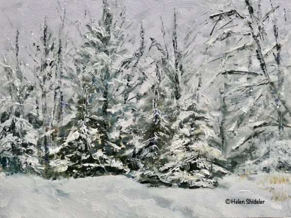 Winter  Wonderland by Helen Shideler