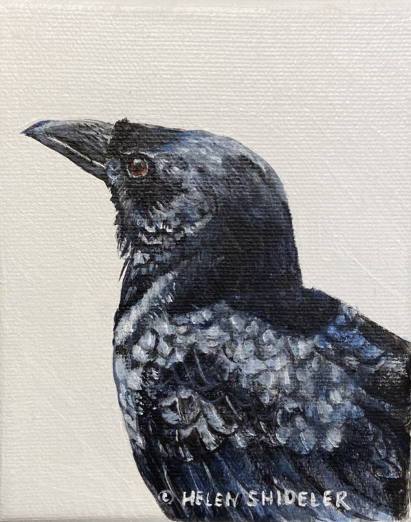 The Lookout by Helen Shideler