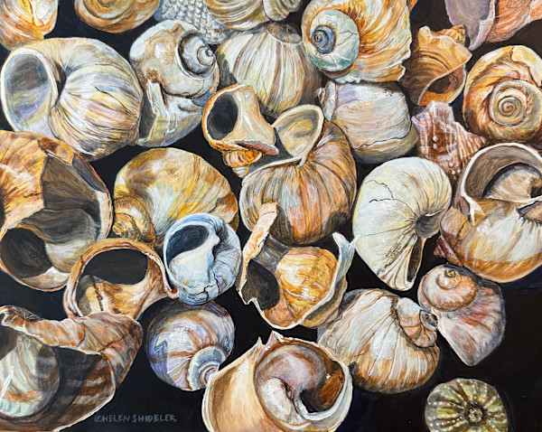 Collected Memories by Helen Shideler