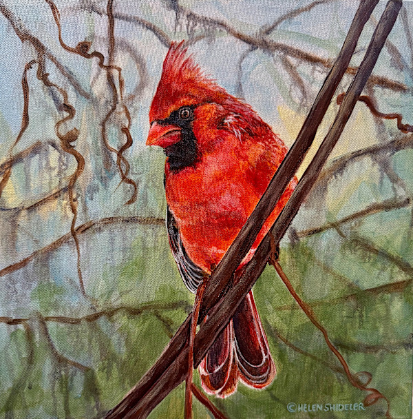 Crimson Cardinal by Helen Shideler