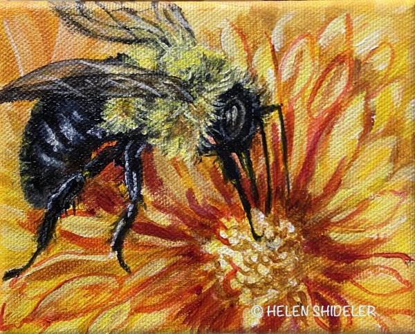 Bee Cause by Helen Shideler