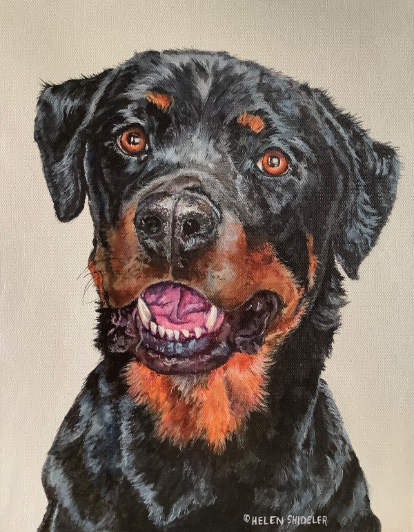 Rotweiler