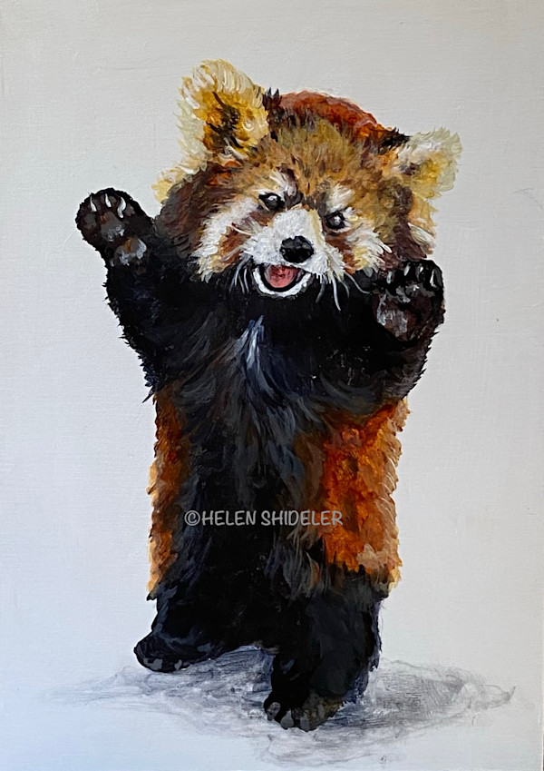 Let's Dance by Helen Shideler