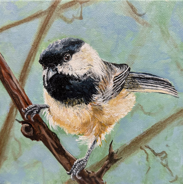 Pretty Perch by Helen Shideler
