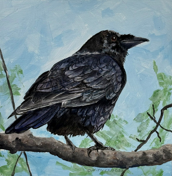 Surveying the 'hood by Helen Shideler