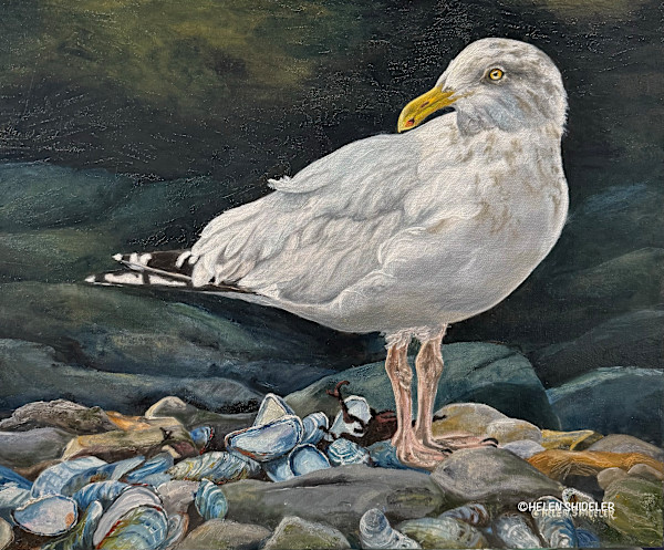 Gulliver by Helen Shideler