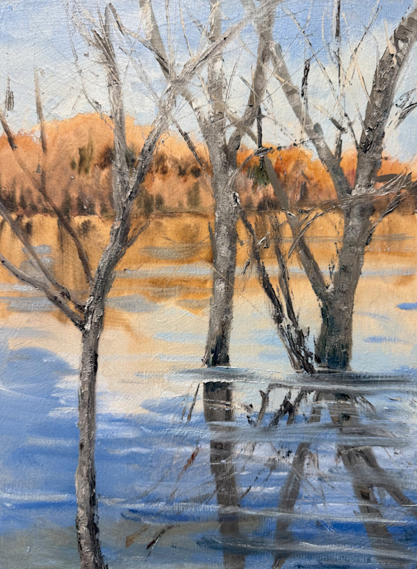 Spring Reflections by Helen Shideler