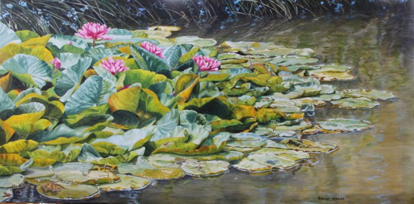 The Pond in Mid-Summer by Helen Shideler