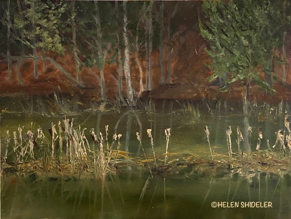The Marsh in April by Helen Shideler