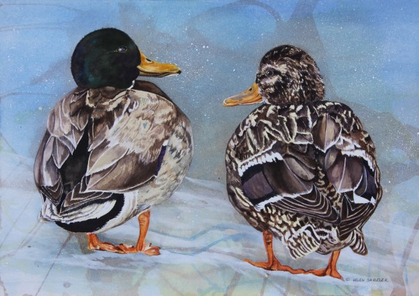 Ducky Duet by Helen Shideler