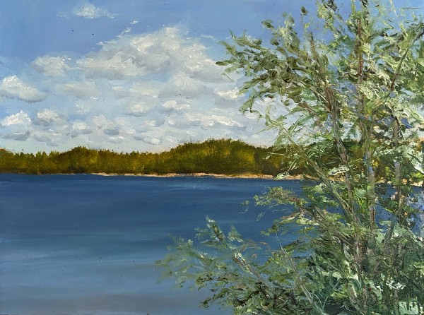 https://helenshideler.com/plein-air/summer-day-on-lac-cameron-in-quebec by Helen Shideler