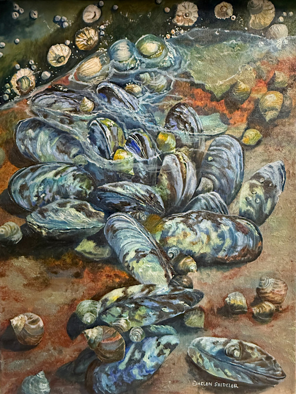 Tidal Treasures by Helen Shideler