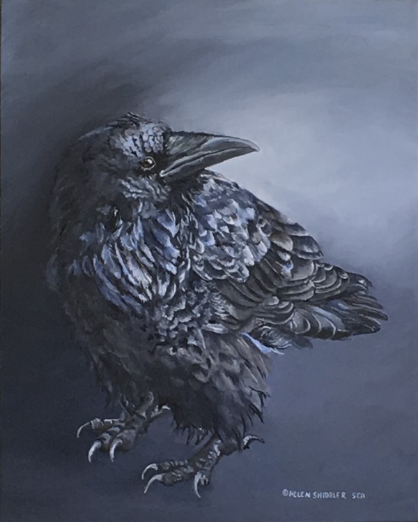 Midnight Shadow by Helen Shideler