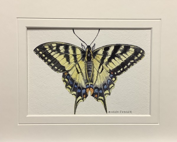 Social Butterfly II by Helen Shideler