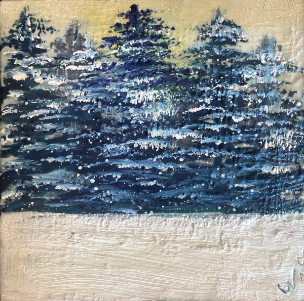 After the Snowfall (2024) by Susan  Wallis