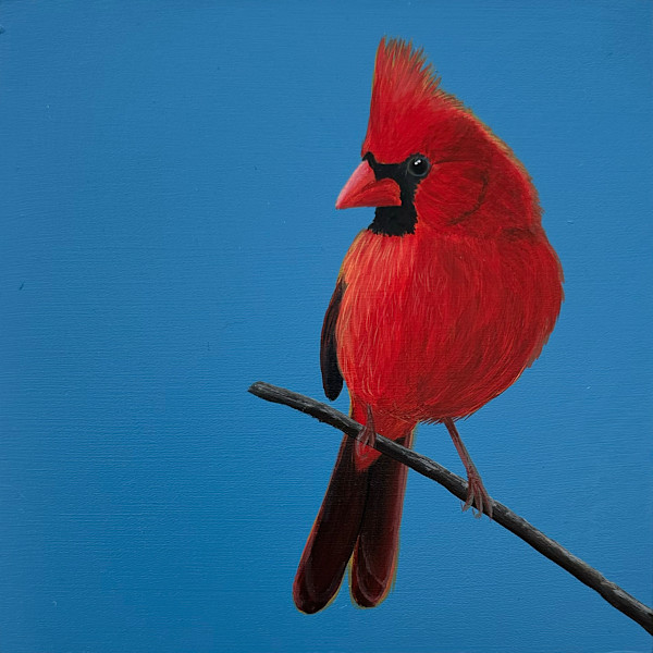 Cardinal on Blue (Male) by Susan Wallis, Image 1.