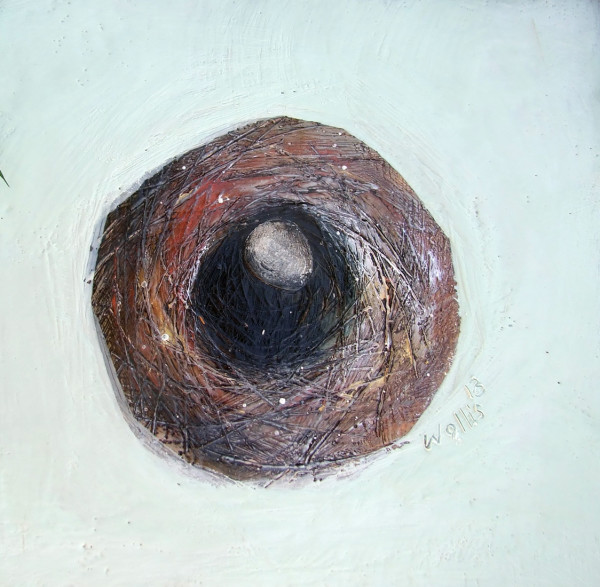 Fallen Nest by Susan  Wallis