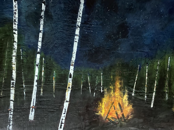 Fire Under the Stars by Susan  Wallis