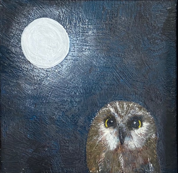 You Me and the Moon by Susan  Wallis