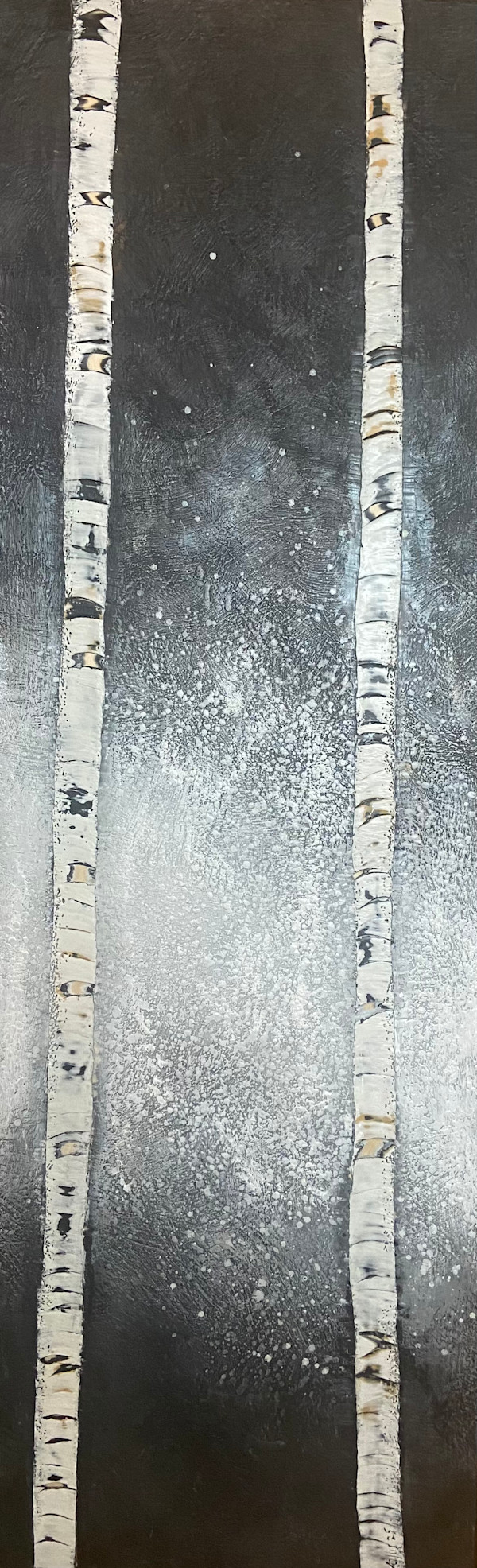 Midnight Companions by Susan  Wallis