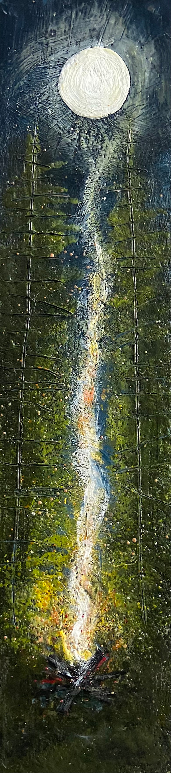 Embers of the Wild by Susan  Wallis