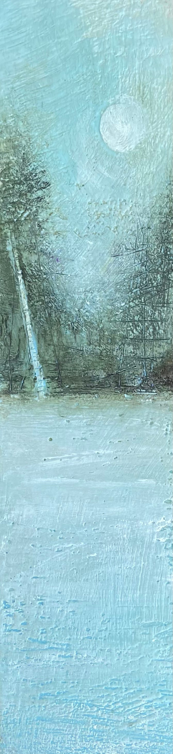 Solitary Birch by Susan  Wallis