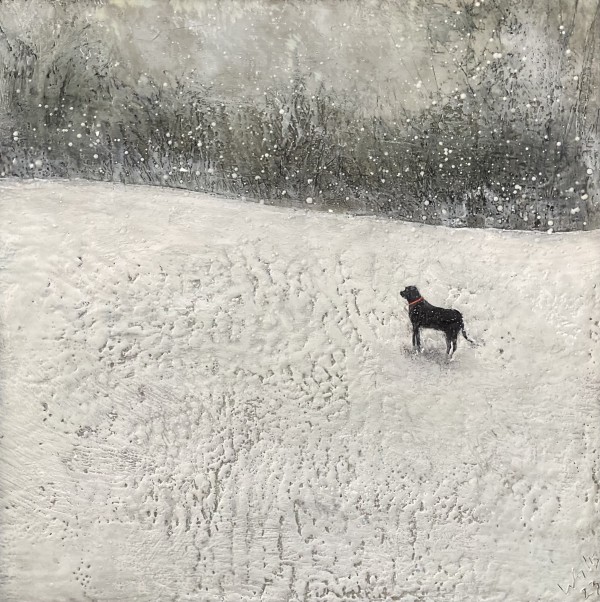 Just a Dog on a Hill in the Snow by Susan  Wallis