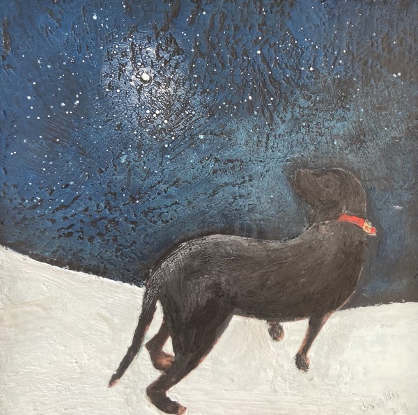 Just a Dog Wishing on a Star by Susan  Wallis