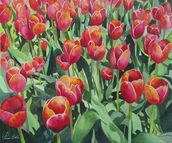 Red and Yellow Tulips by Tanis Bula