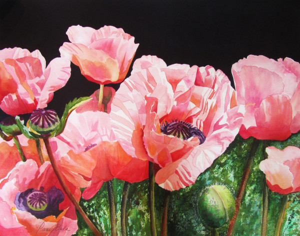 Breckenridge Poppies by Tanis Bula