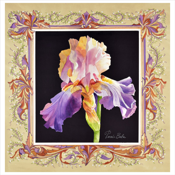 Yellow and Purple Iris by Tanis Bula