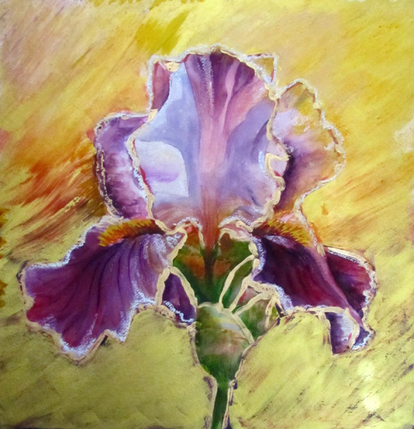 Purple Iris at Sunset by Tanis Bula
