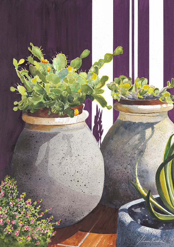 Cactus Pots by Tanis Bula
