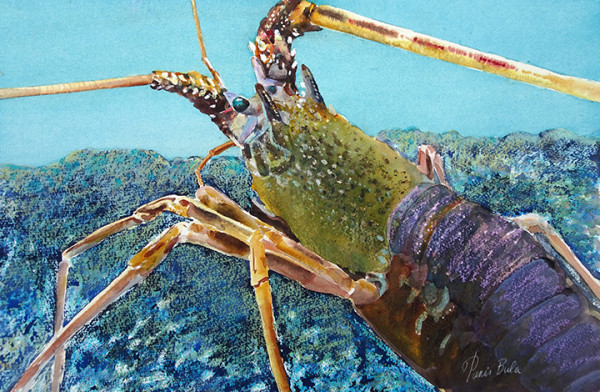 Lobster in Blue by Tanis Bula