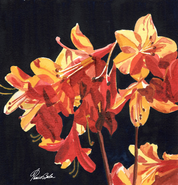 Orange Lilies by Tanis Bula
