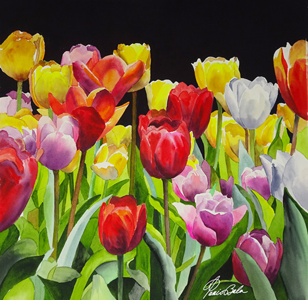 Red Tulips by Tanis Bula
