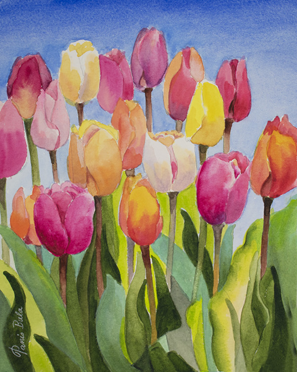21-16 Tulips in Blue Sky by Tanis Bula
